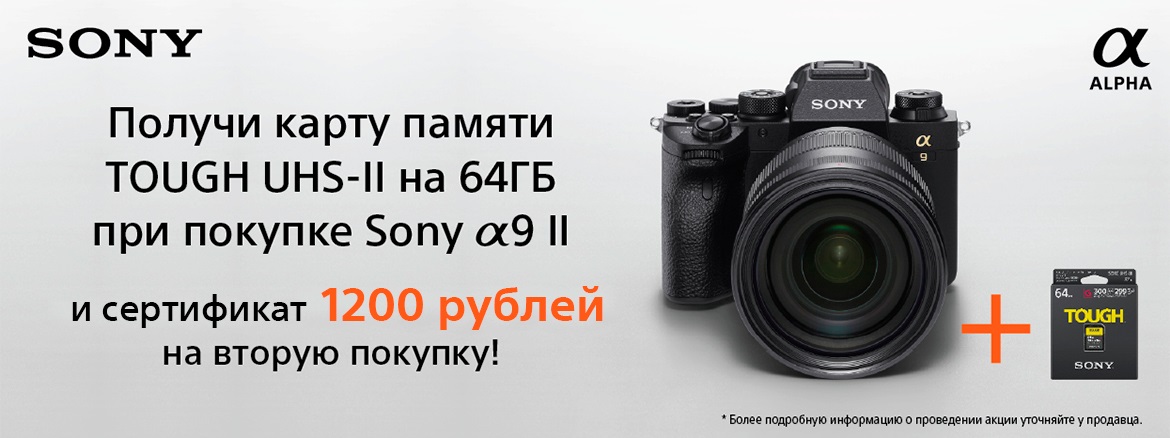 Sony ILCE-9M2