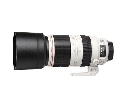 Объектив Canon EF 100-400mm f/4.5-5.6L IS II USM - фото2