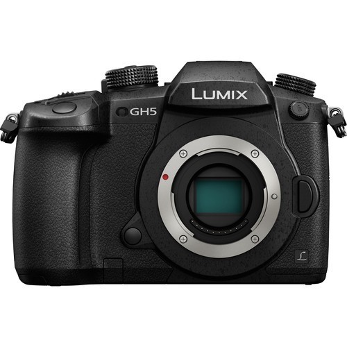 Фотоаппарат Panasonic Lumix GH5 Body Black (DC-GH5EE-K)- фото