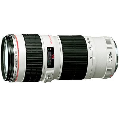 Объектив Canon EF 70-200mm f/4L USM - фото
