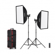 Комплект студийного оборудования Godox SL100D-K2- фото