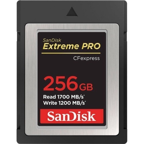 Карта памяти SanDisk Extreme Pro 256Gb CFexpress Type-B (SDCFE-256G-GN4NN)