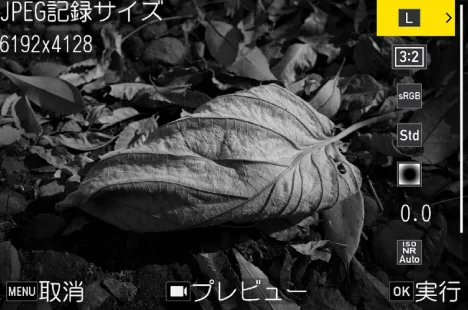 RICOH GR IV Monochrome