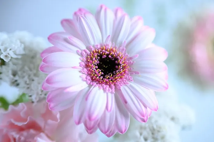 Nikon NIKKOR Z 70-200mm f/2.8 VS R II