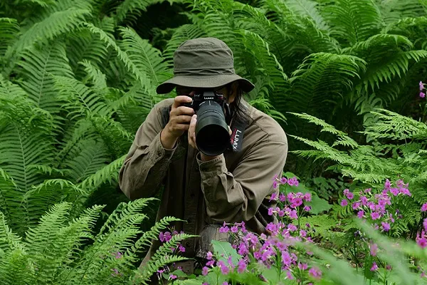 Panasonic LUMIX S 100-500mm F5-7.1 (example photo)