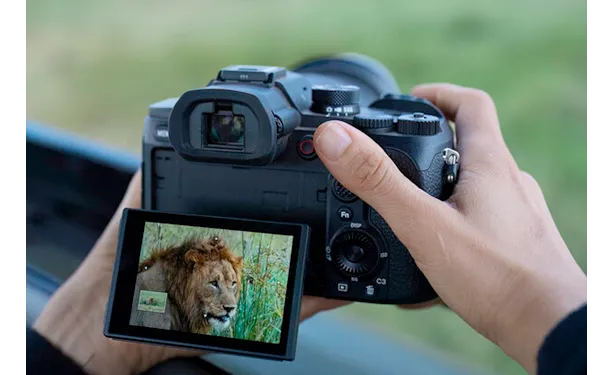 Sony RX10 V (DSC-RX10M5)