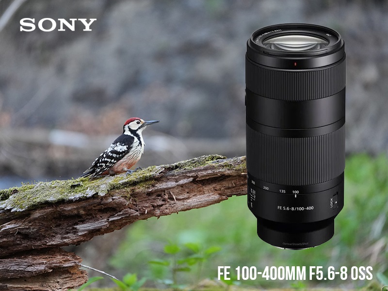 Sony FE 100-400mm F5.6-8 OSS