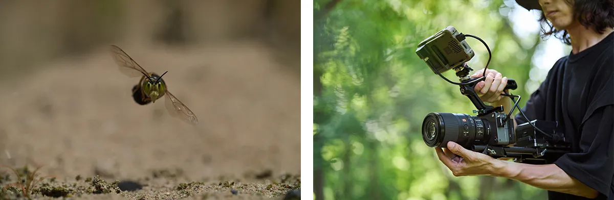 Sony FE 100mm f2.8 Macro GM OSS