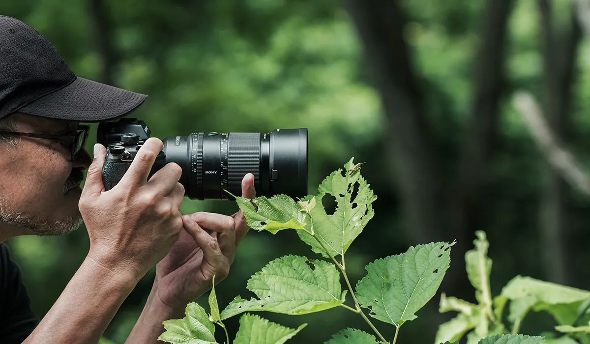 Sony FE 100mm f2.8 Macro GM OSS