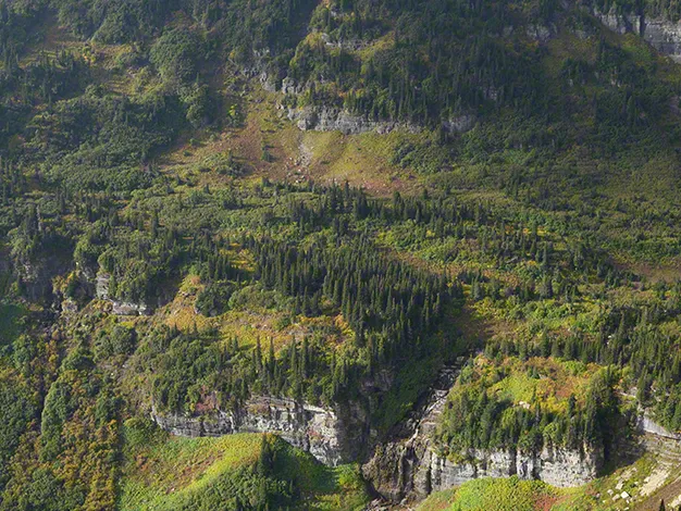 Sony FE 28-70mm f/3.5-5.6 OSS II