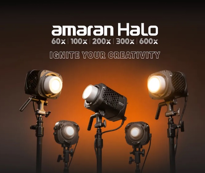 Amaran Halo