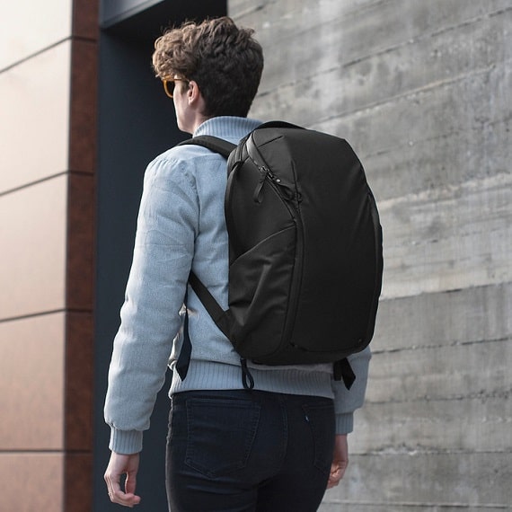 The Everyday Backpack Zip 20 L
