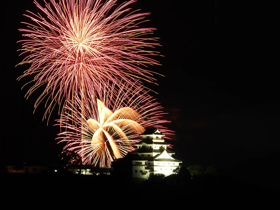 Nikon Coolpix P1100 fireworks mode