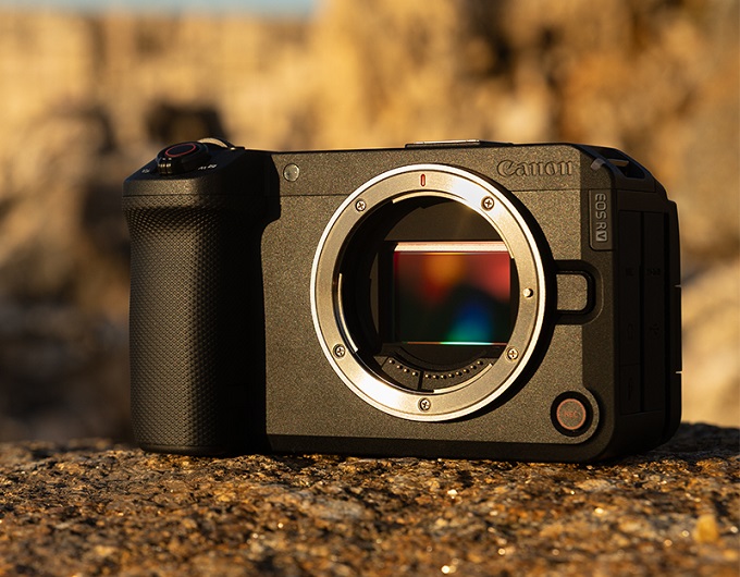 Canon EOS R6 V