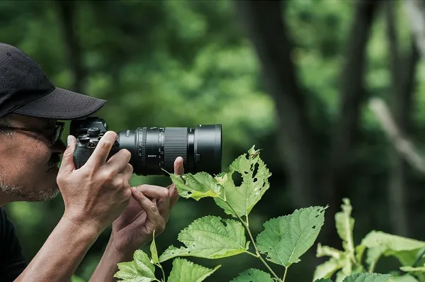 Sony FE 100mm F2.8 Macro GM OSS (SEL100M28GM)