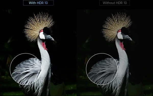 XGIMI Horizon (HDR10)