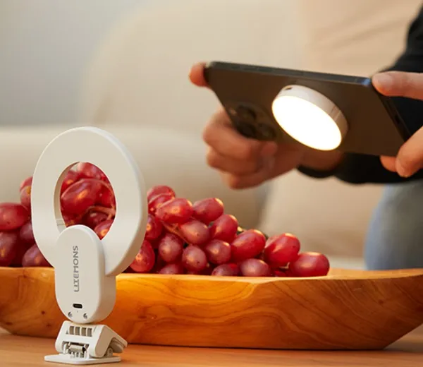 Godox Litemons LR15Bi/LR30Bi