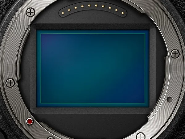 Lumix S9 sensor