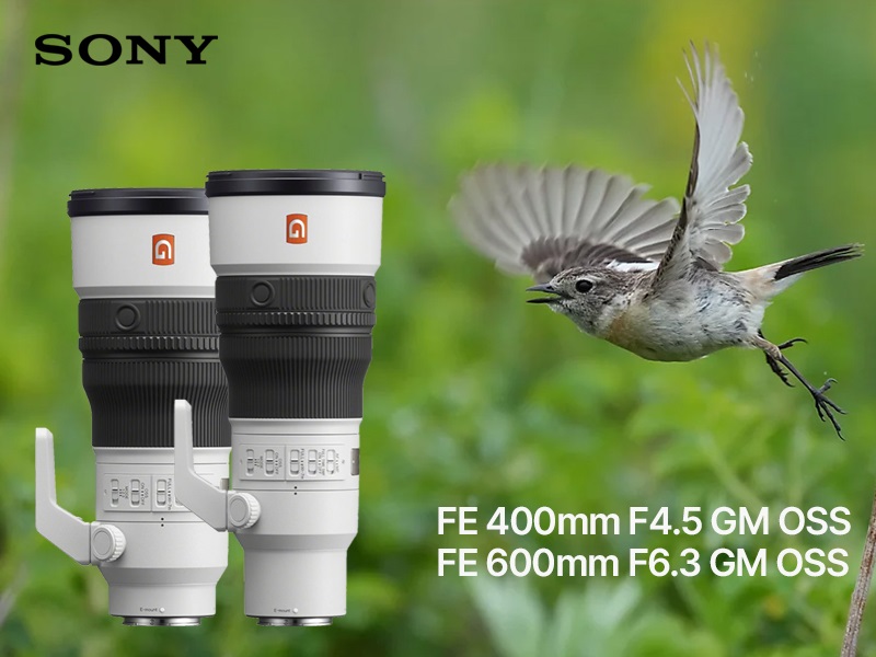 Sony FE 400mm F4.5 GM OSS and FE 600mm F6.3 GM OSS