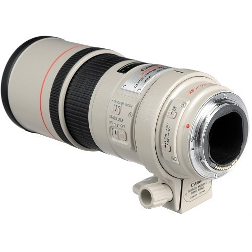 Canon EF 300mm f/4L IS USM - фото2