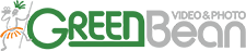 Профессиональное освещение Greenbean