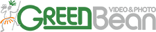 GreenBean — постоянный видеосвет, LED-лампы
