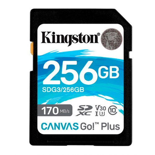 Карта памяти Kingston Canvas Go Plus SDXC 256GB (SDG3/256GB) - фото