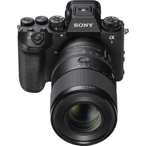 Объектив Sony FE 100mm F2.8 Macro GM OSS (SEL100M28GM) - фото6