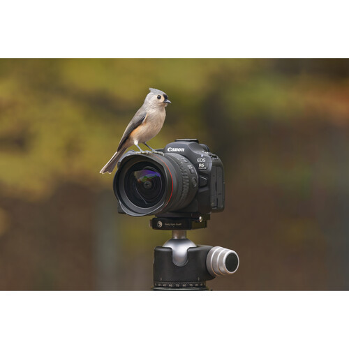 Фотоаппарат Canon EOS R6 Mark III Kit 24-105mm F4L IS USM - фото9