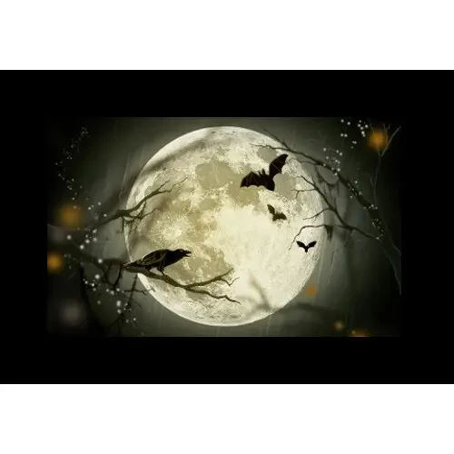 Набор слайдов Godox AK-S02 - фото3