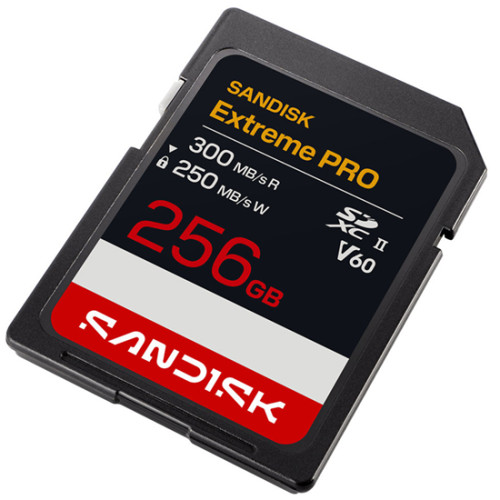 Карта памяти SanDisk 256GB Extreme PRO SDXC UHS-II V60 (SDSDXEM-256G-GN4IN) - фото2