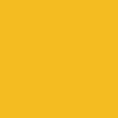 Фон бумажный Falcon Eyes BackDrop PRO 2.72x11 Yellow-Orange