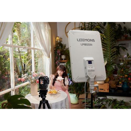 Осветитель светодиодный Godox LITEMONS LP800Bi - фото6