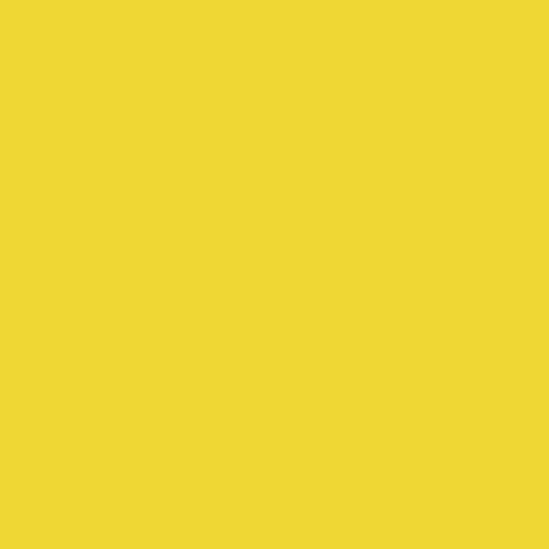 Фон бумажный Falcon Eyes BackDrop PRO 2.72x11 Forsythia Yellow