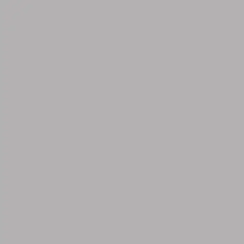 Фон бумажный Falcon Eyes BackDrop PRO 2.72x11 Pursuit Grey