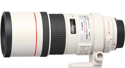 Объектив Canon EF 300mm f/4L IS USM- фото