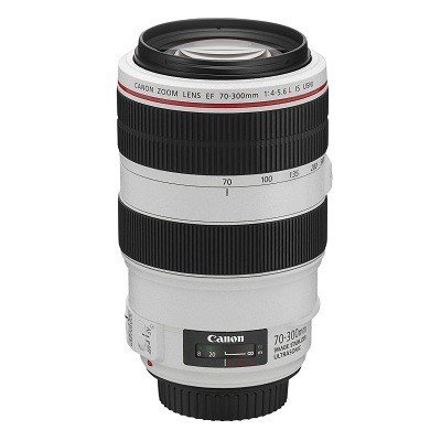 Объектив Canon EF 70-300mm f/4.0-5.6 L IS USM- фото