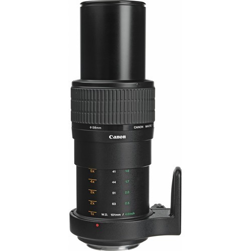 Canon MP-E 65mm f/2.8 1-5x Macro- фото2