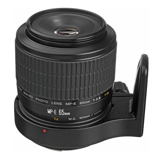 Объектив Canon MP-E 65mm f/2.8 1-5x Macro - фото