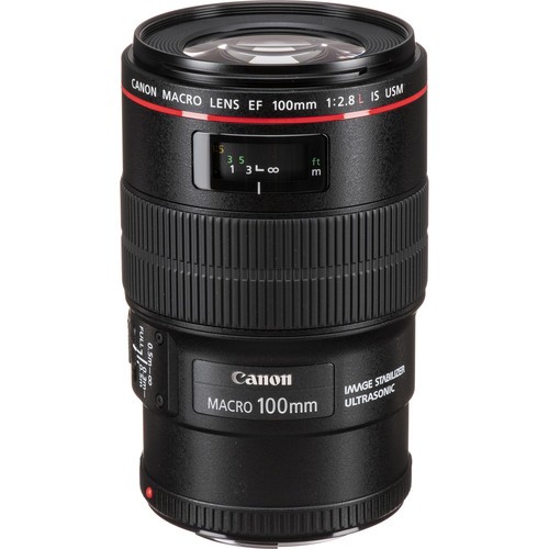 Объектив Canon EF 100mm f/2.8L Macro IS USM - фото