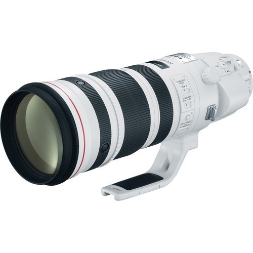 Canon EF 200-400mm f/4L IS USM Extender 1,4x - фото3