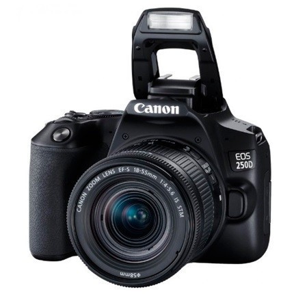 Canon EOS 250D Kit 18-55mm IS STM Black - фото5