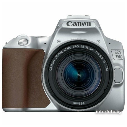 Canon EOS 250D Kit 18-55mm IS STM Silver- фото