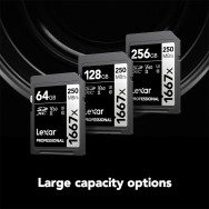 Карта памяти Lexar SDXC 64GB Professional 1667x UHS-II- фото2