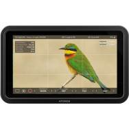 Накамерный монитор Atomos Shinobi II- фото3