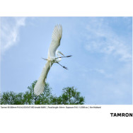 Объектив Tamron 50-300mm F/4.5-6.3 Di III VC VXD Sony (A069S)- фото8