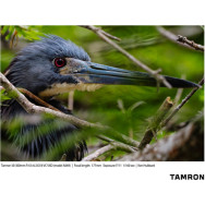 Объектив Tamron 50-300mm F/4.5-6.3 Di III VC VXD Sony (A069S)- фото9