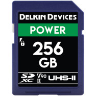 Карта памяти Delkin Devices 256GB POWER UHS-II SDXC (DDSDG2000256)- фото