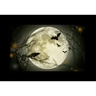 Набор слайдов Godox AK-S02- фото3