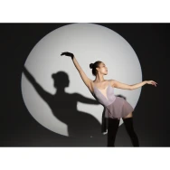 Проекционная насадка Godox VSA-36K с линзой 36°- фото9